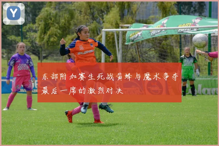 东部附加赛生死战黄蜂与魔术争夺最后一席的激烈对决