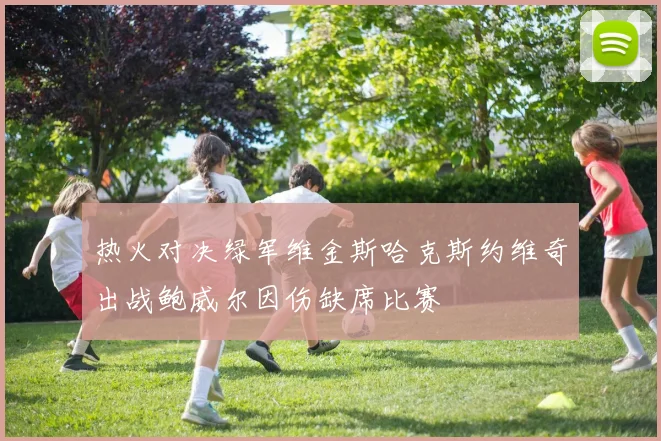 热火对决绿军维金斯哈克斯约维奇出战鲍威尔因伤缺席比赛