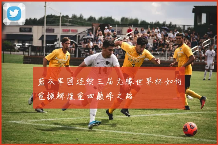 蓝衣军团连续三届无缘世界杯如何重振辉煌重回巅峰之路